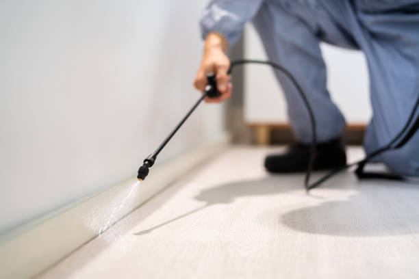 Licensed Pest Control service in Union County County, IL - Nex Pest Control