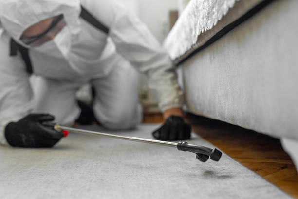 Professional Pest Control technician working in Union County County, IL
